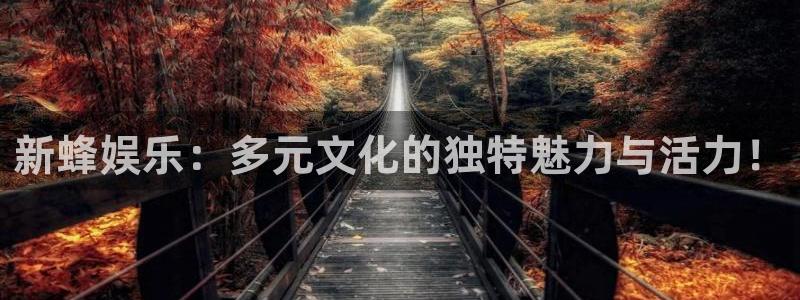 高德娱乐