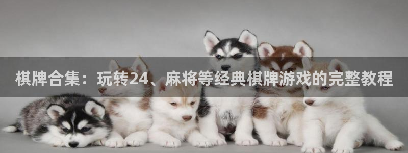 高德娱乐