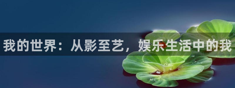 高德娱乐