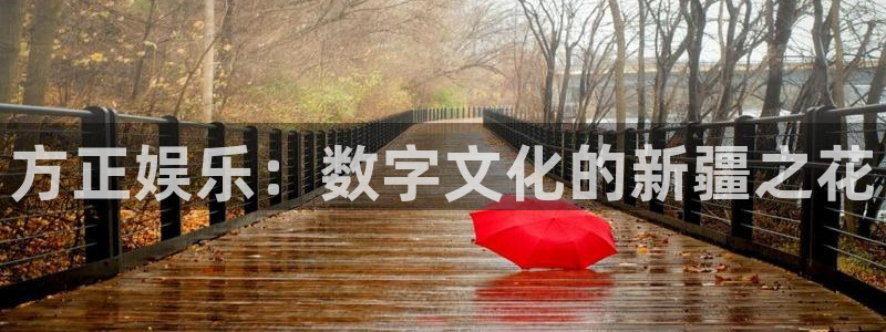 高德娱乐