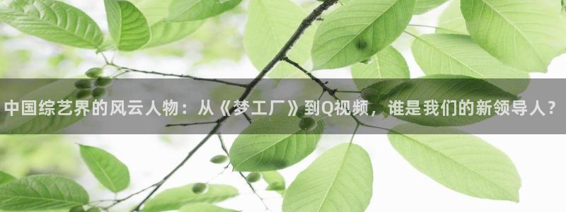 高德娱乐