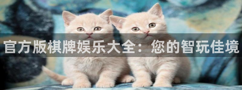 高德娱乐