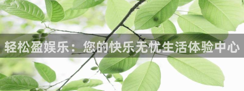 高德娱乐