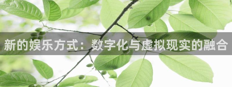 高德娱乐