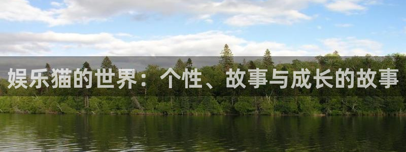 高德娱乐