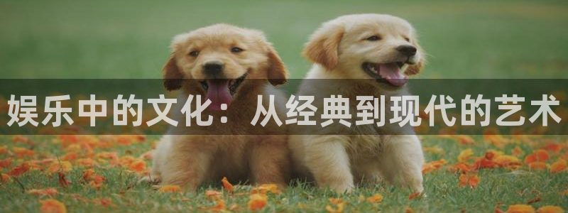 高德娱乐
